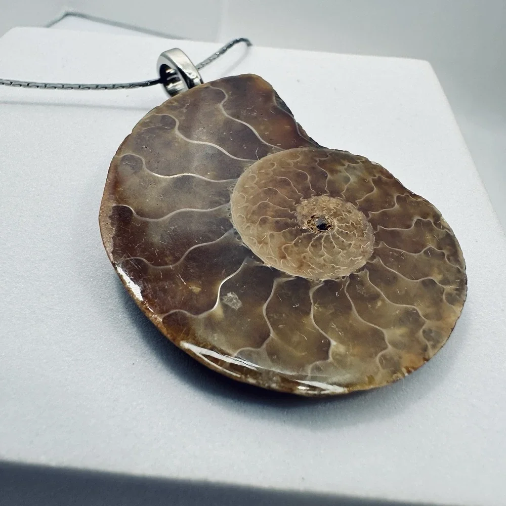 Ammonite Lg Fossil Pendant Necklace Brown Nautilus Shell Slice Silver Tone 18